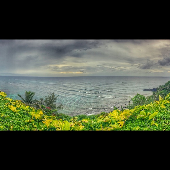 Meet your Posher, Danaya - Picture 1 of 1